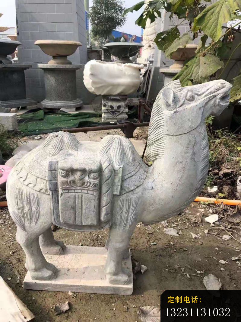 大理石骆驼雕塑公园动物石雕 (1)_799*1066