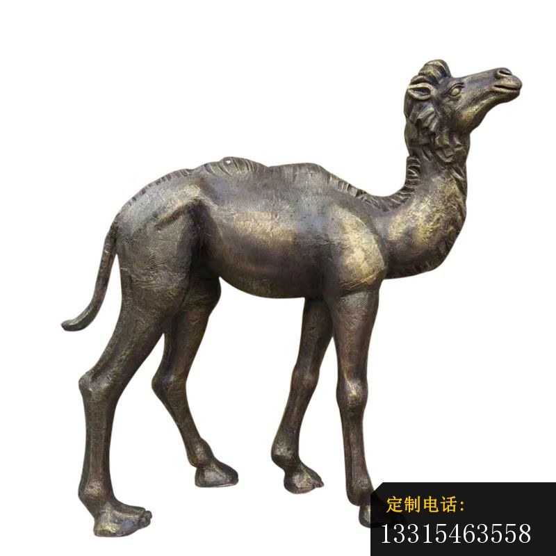 公园小骆驼铜雕，动物铜雕_800*800