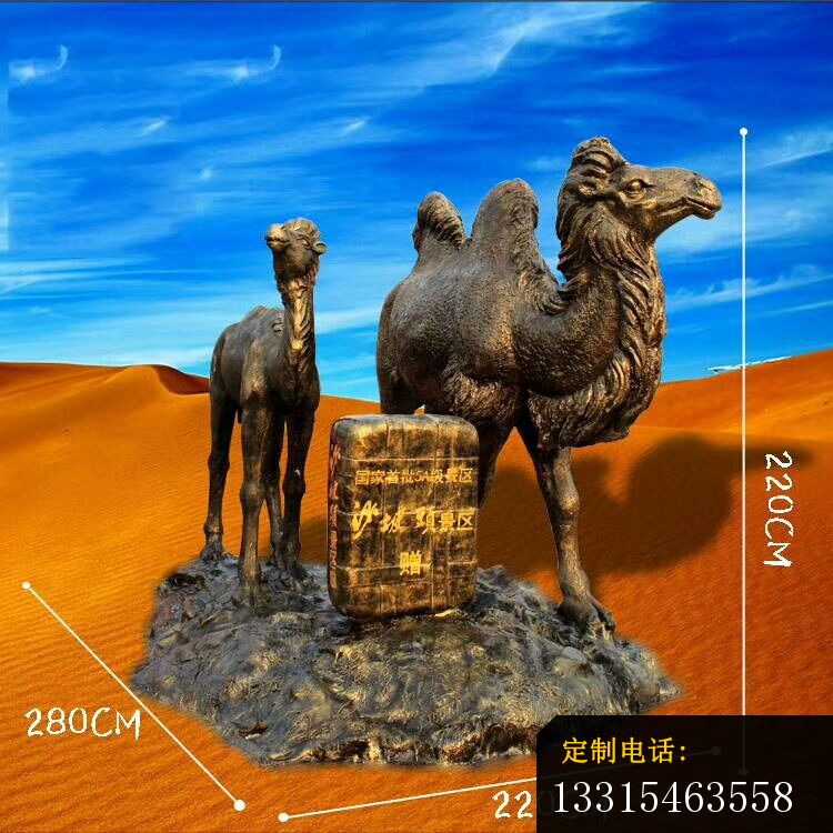 铜雕骆驼景区动物铜雕 (2)_750*750