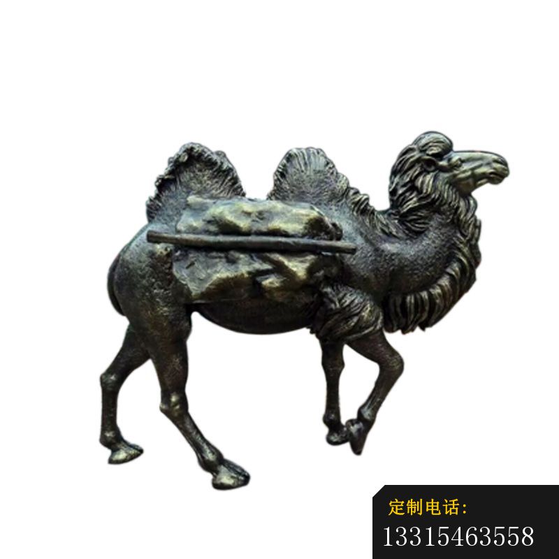 铜雕拖行李的骆驼，户外动物铜雕 (2)_800*800