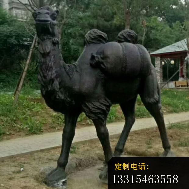 驮行李的骆驼铜雕，户外动物铜雕_620*620