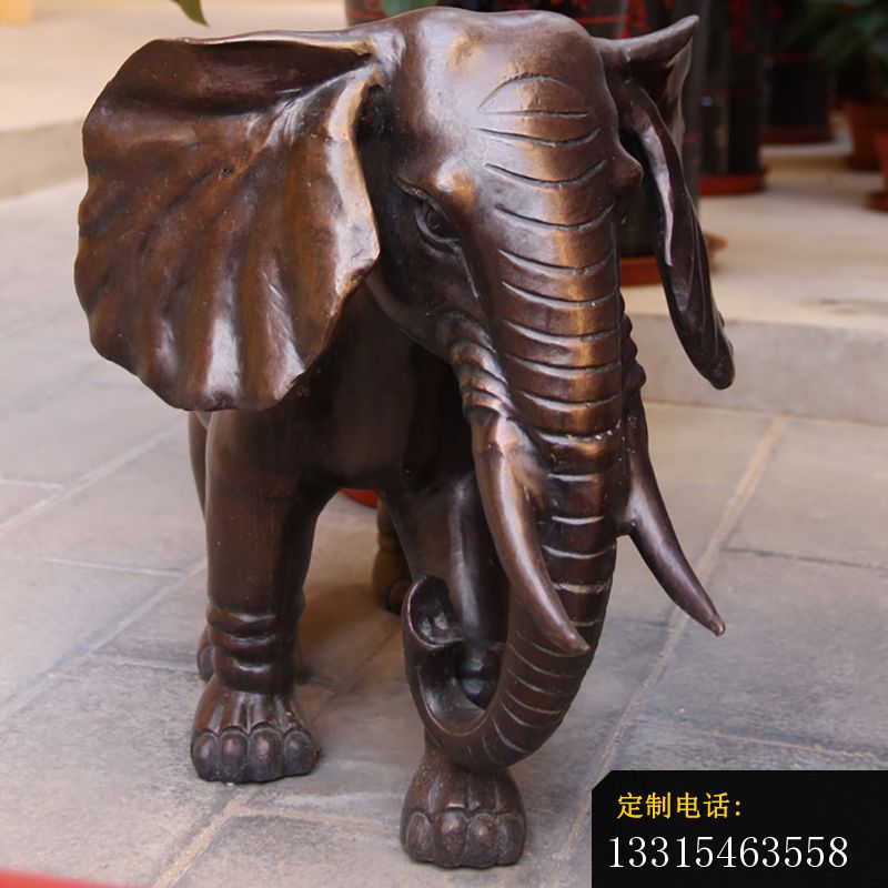 大象动物铜雕_800*800