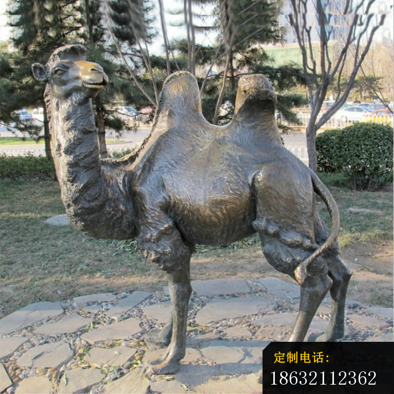 骆驼铜雕塑_800*800