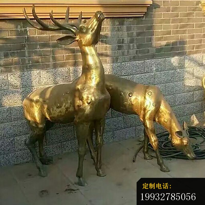 广场鹿铜雕 (3)_800*800