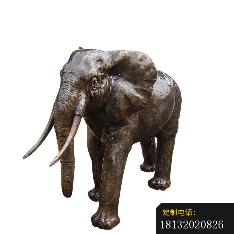公园动物大象铜雕_800*800