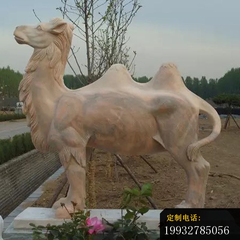 骆驼石雕，公园动物石雕 (2)_800*800
