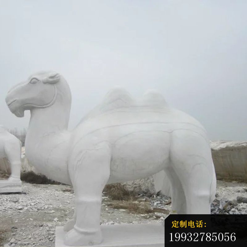 骆驼石雕，汉白玉骆驼_800*800