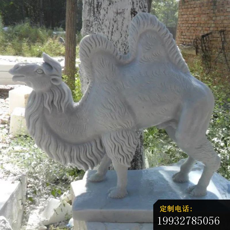 骆驼石雕，汉白玉骆驼雕塑_800*800