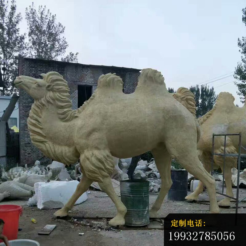 石雕大型骆驼   大理石动物雕塑_800*800