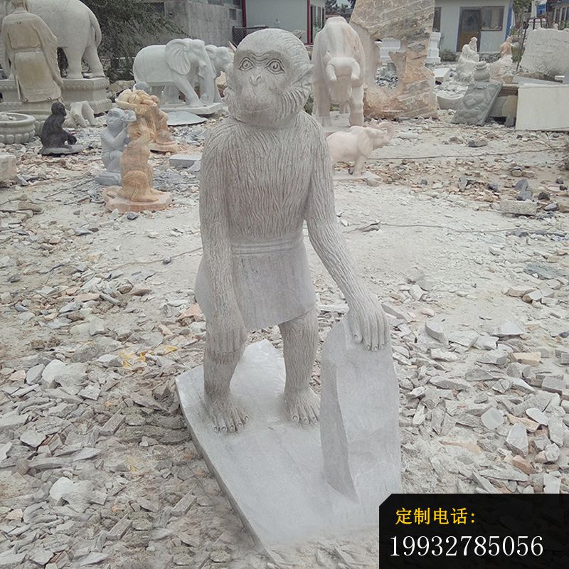 立着的猿猴石雕 大理石动物雕塑 (2)_800*800