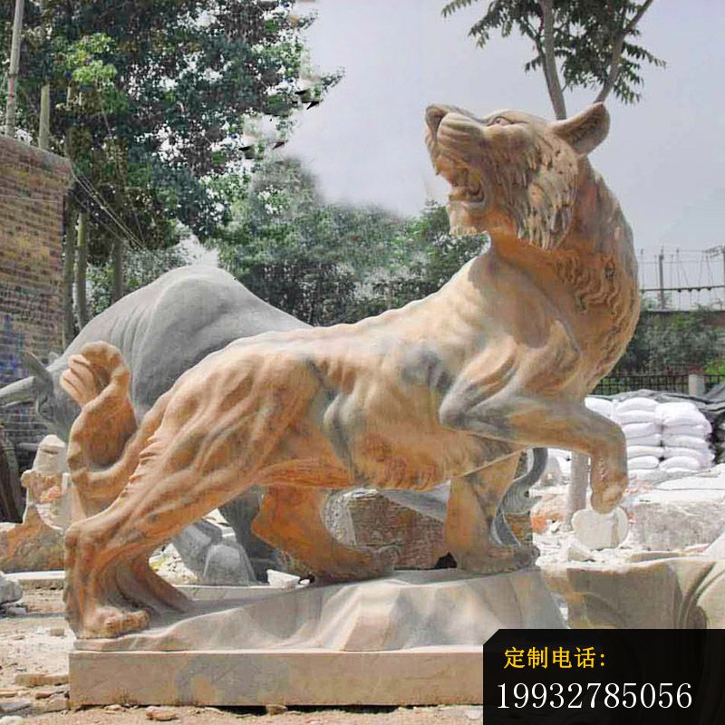 回头的老虎石雕，晚霞红公园动物石雕 (2)_800*800