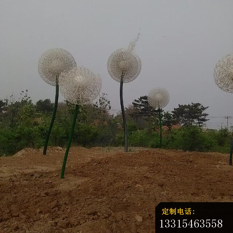 不锈钢蒲公英雕塑，景观不锈钢雕塑_800*800