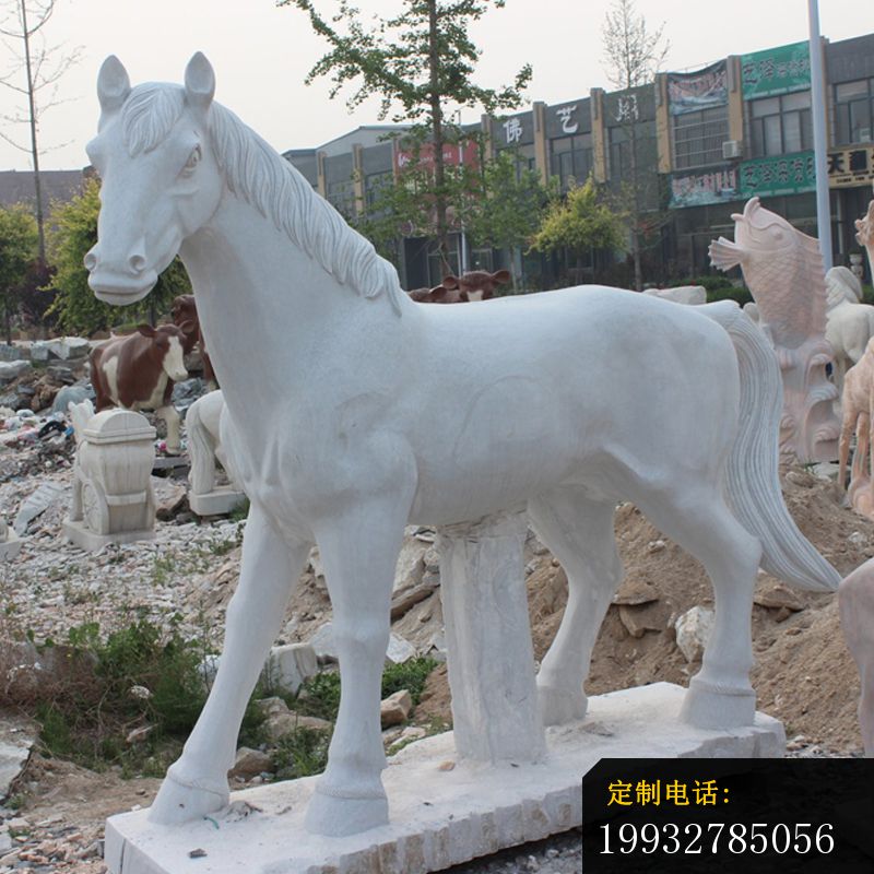 小马驹石雕，汉白玉小马驹石雕 (1)_800*800