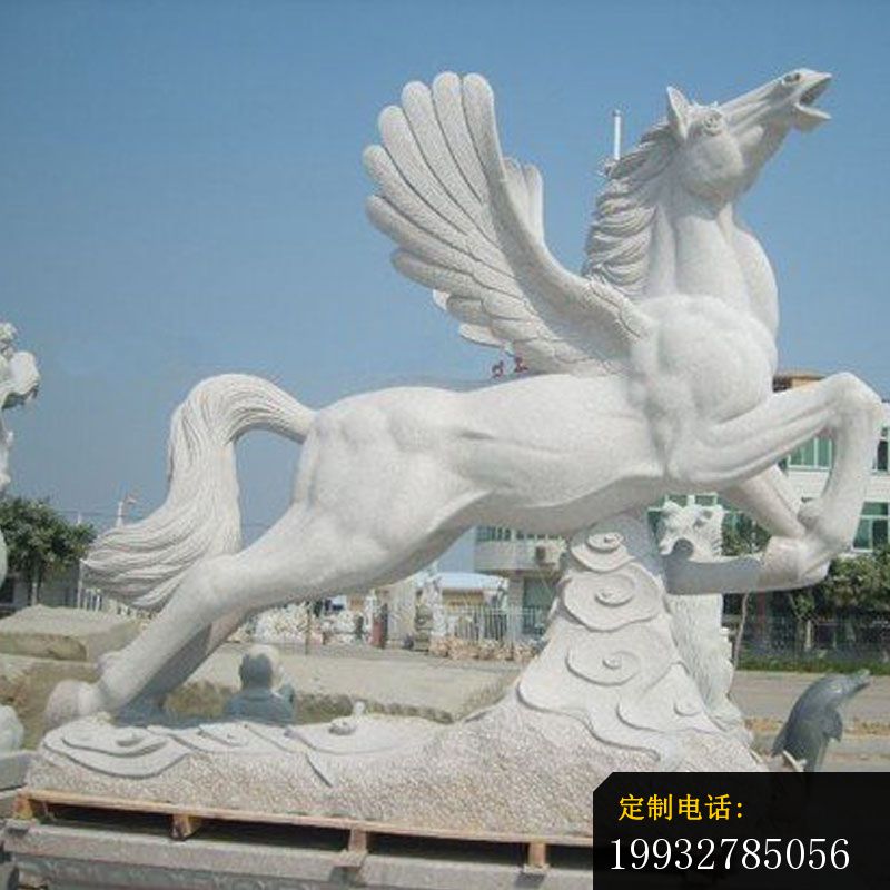 石雕马雕塑，汉白玉马雕塑，飞马雕塑 (3)_800*800