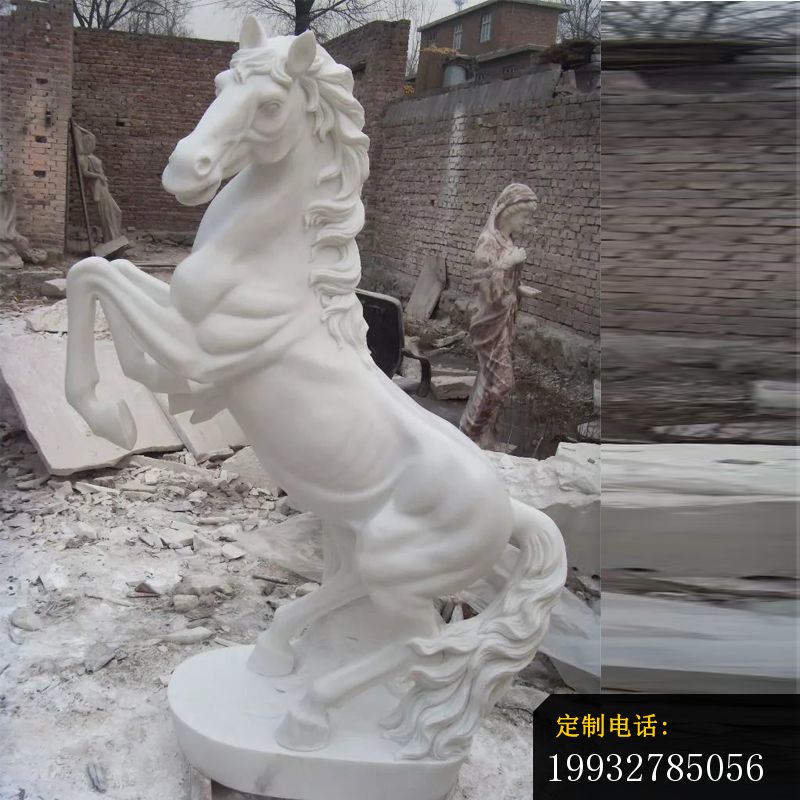 汉白玉石雕马，广场石马雕塑 (2)_800*800