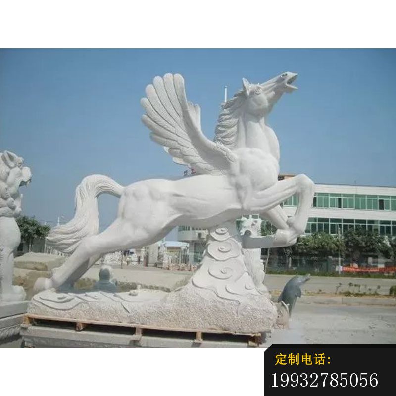 石雕马雕塑，汉白玉马雕塑，飞马雕塑 (1)_800*800