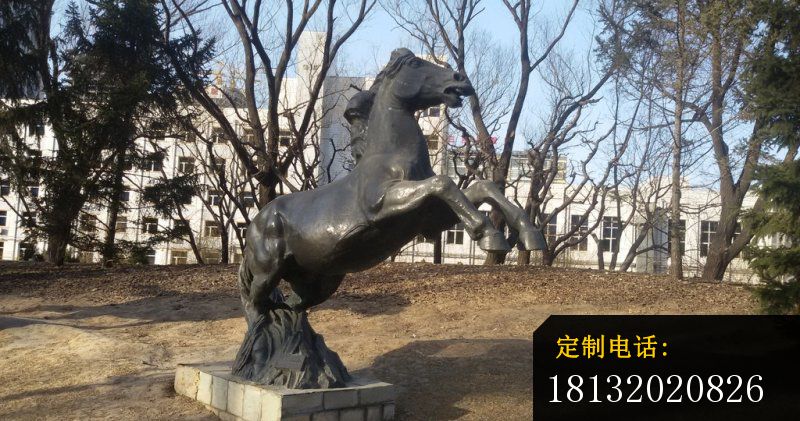 铜雕奔马公园动物雕塑 (2)_800*421