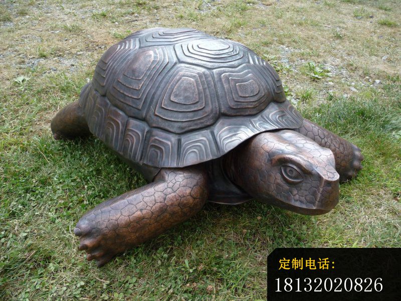 铸铜乌龟雕塑公园动物铜雕 (1)_800*600