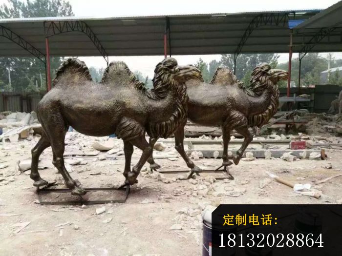 骆驼动物铜雕_700*525