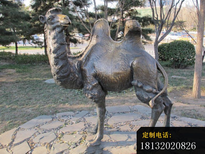骆驼雕塑公园铜雕动物 (1)_800*601