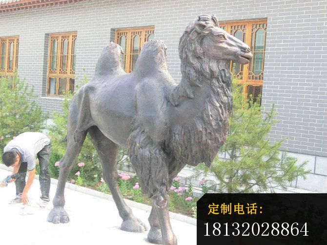 铜雕骆驼公园动物雕塑 (1)_670*502