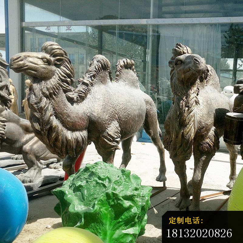 铜雕骆驼雕塑，公园动物铜雕_800*800