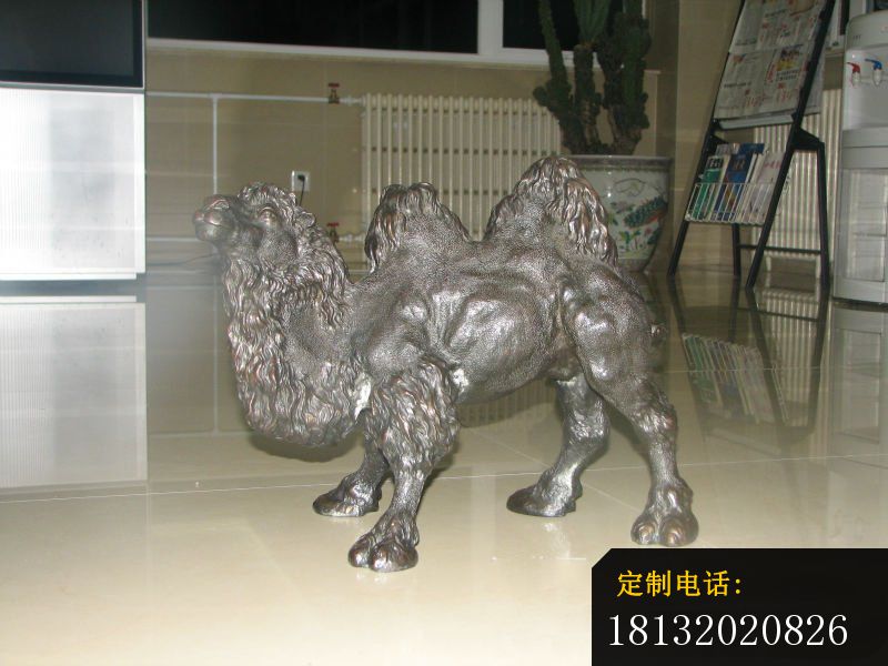 铜雕小骆驼，公园动物铜雕_800*600