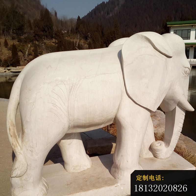公园动物石雕大理石大象 (1)_800*800