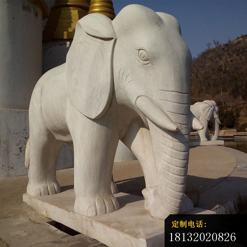 公园动物石雕大理石大象 (2)_800*800