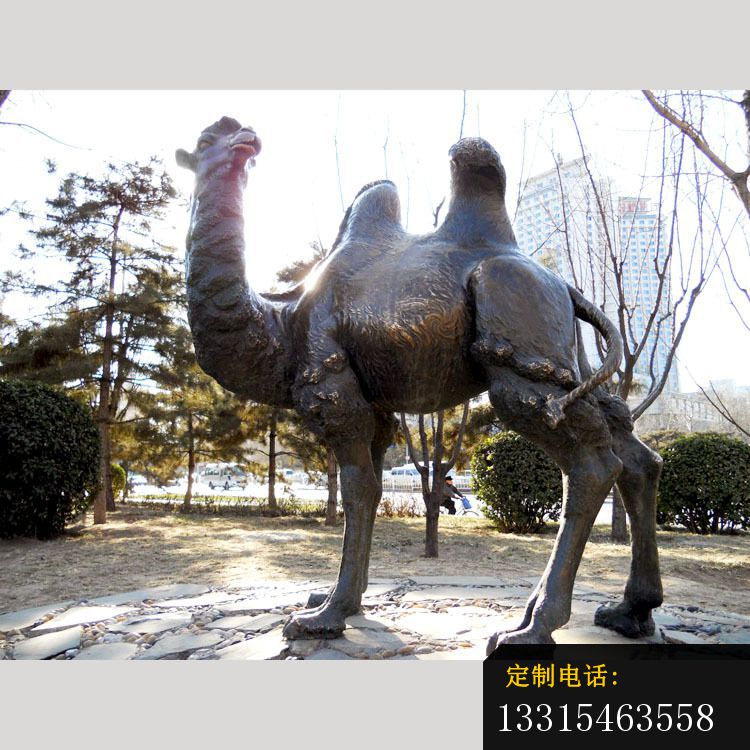 铜雕公园户外骆驼雕塑_750*750