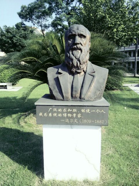 科学家达尔文胸像铜雕