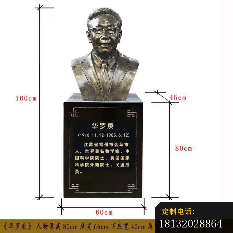 华罗庚胸像铜雕_800*800