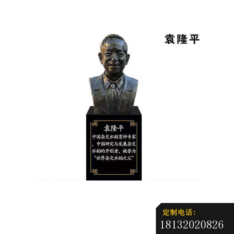 水稻之父袁隆平头像铜雕_800*800
