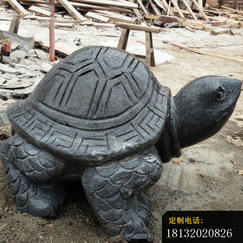 公园动物石雕乌龟 (2)_800*800