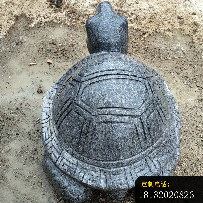 公园动物石雕乌龟 (4)_800*800
