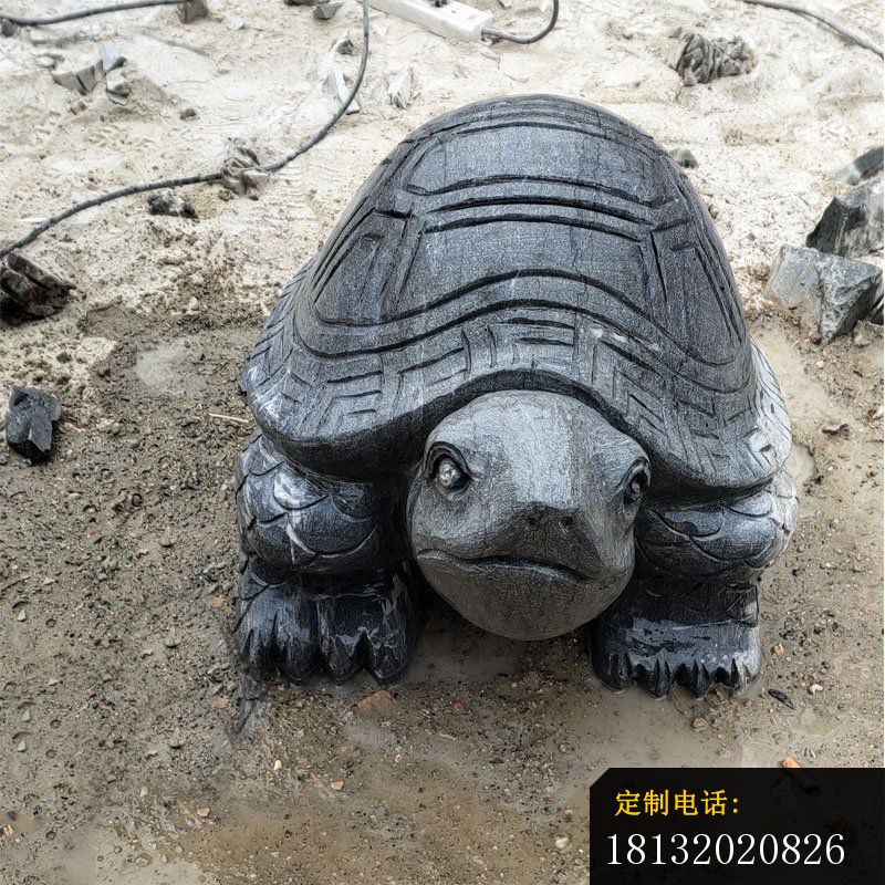 公园动物石雕乌龟 (3)_800*800