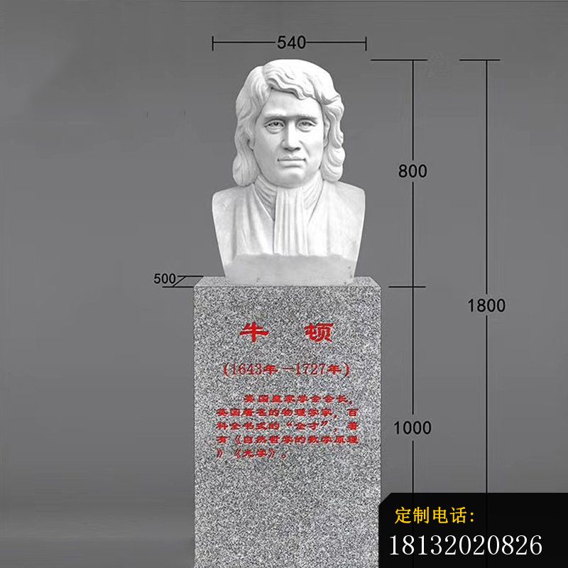 西方物理学家牛顿头像石雕_800*800