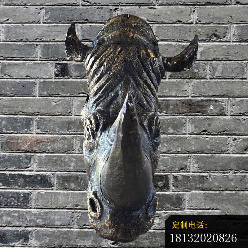 墙壁犀牛头铜雕 (4)_800*800