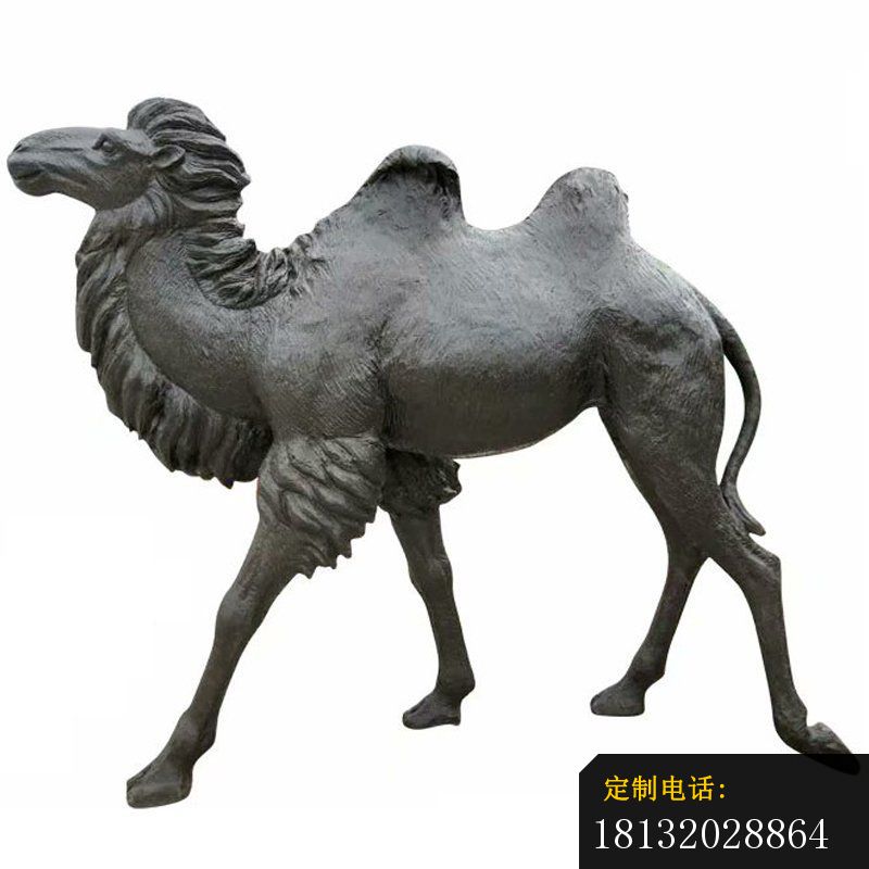 大型铸铜骆驼雕塑_800*800
