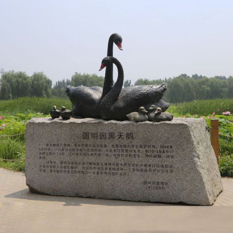 公园动物天鹅铜雕
